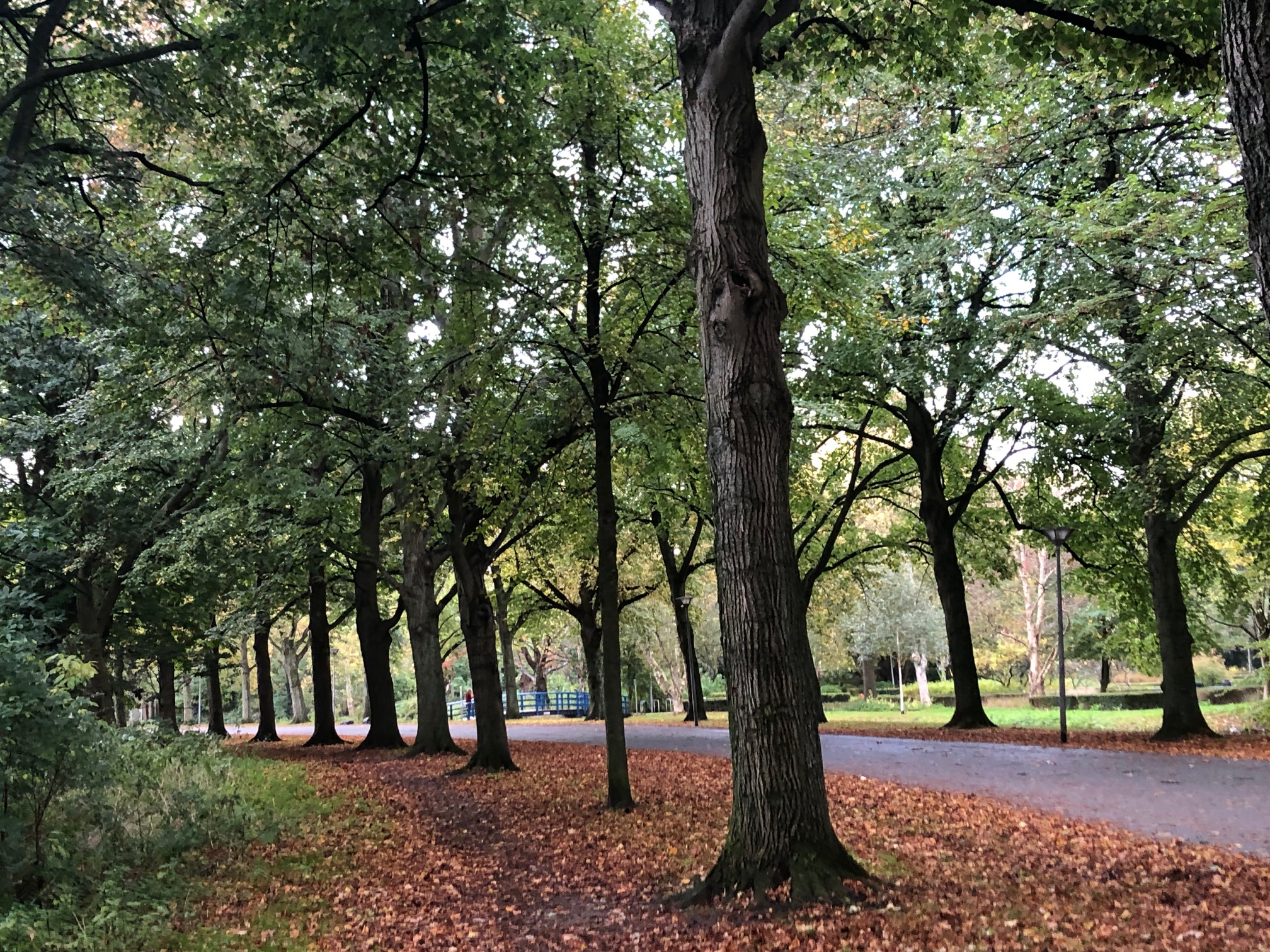 Zuiderpark